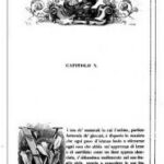 italian language The Nineteenth Century